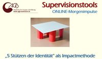 5 St&uuml;tzen Supervision Kitzm&uuml;ller online Impuls Ried Ober&ouml;sterreich
